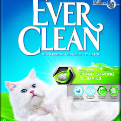 Everclean_6L_ExtraStrong_Scented_CMYK